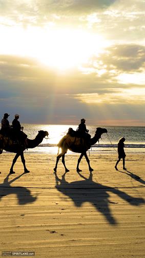 Cable Beach Camels, WA. 